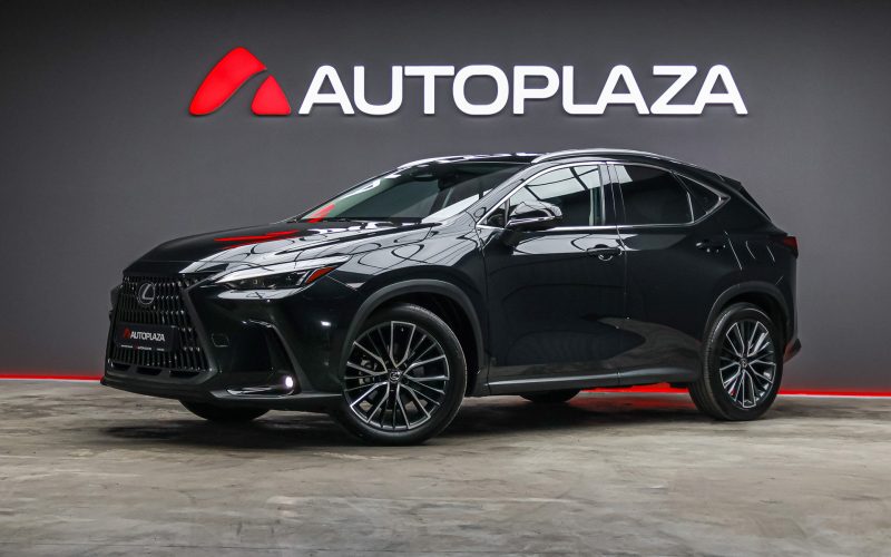 Lexus NX 2022