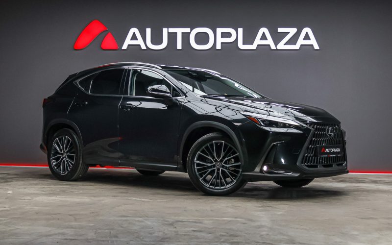 Lexus NX 2022