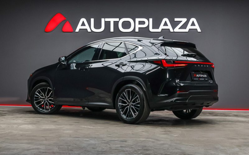 Lexus NX 2022