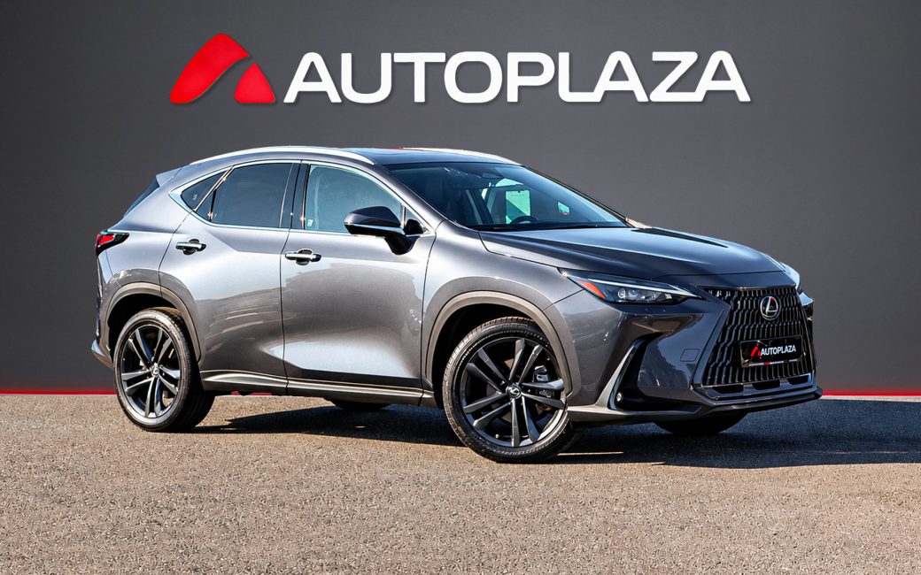 Lexus NX 2022