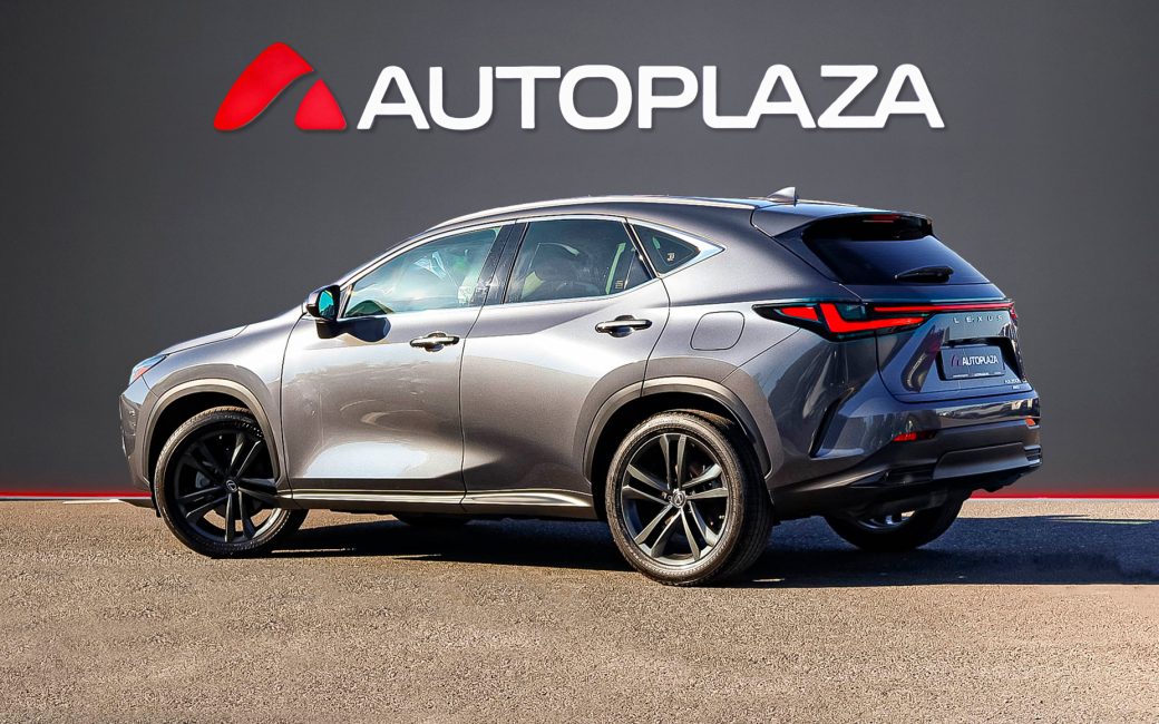 Lexus NX 2022