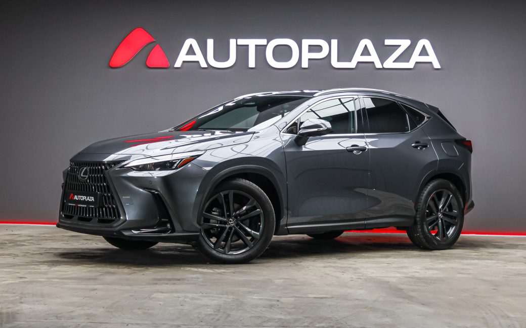 Lexus NX 2022